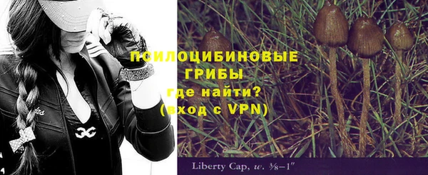 дмт Белокуриха