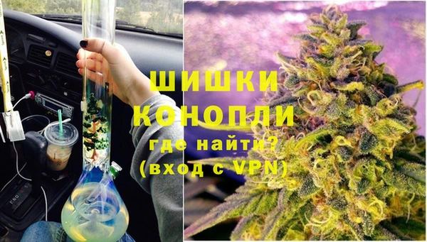 дмт Белокуриха