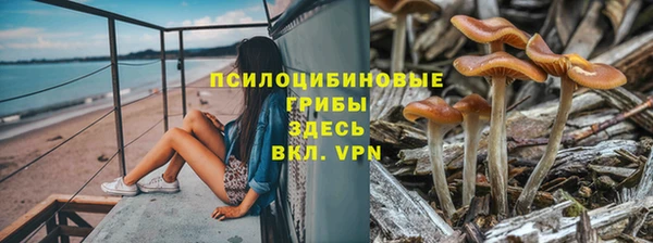 дмт Белокуриха
