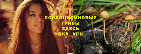 мдпв Беломорск