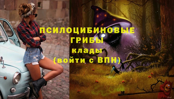 мдпв Беломорск