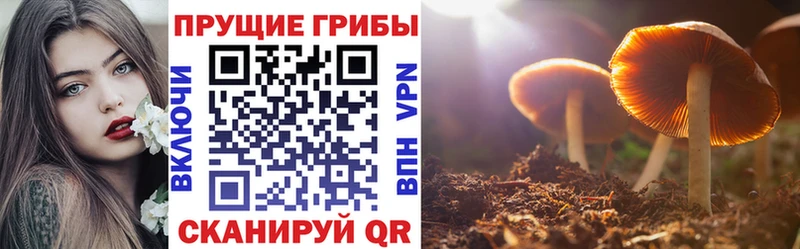 Псилоцибиновые грибы GOLDEN TEACHER  хочу   ОМГ ОМГ как зайти  Светлый 